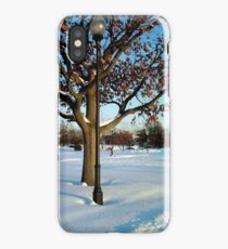A winter snow scene iPhone Case/Skin