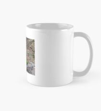 waterfall Mug