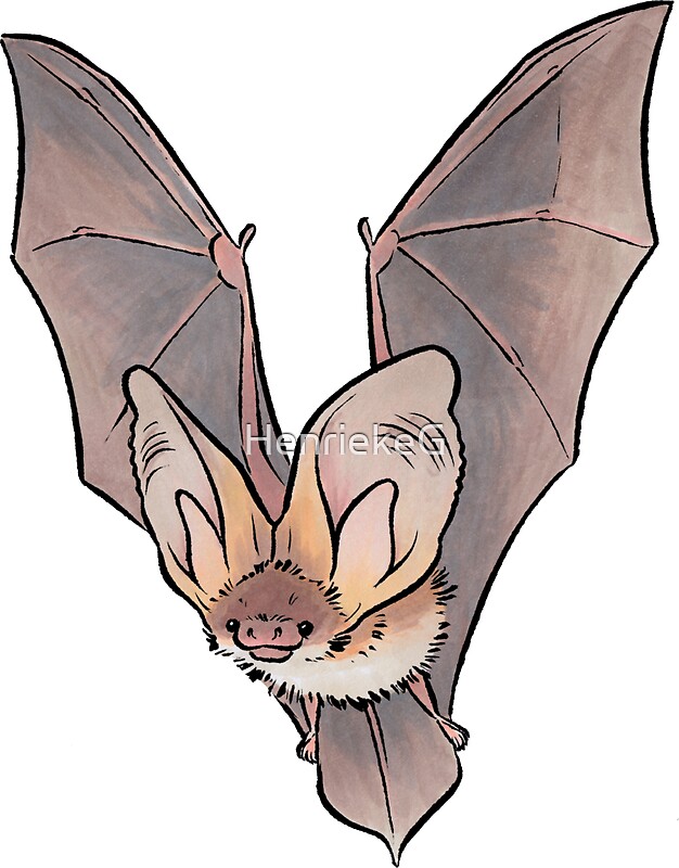 Bats Stickers Redbubble