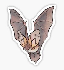 Grey long-eared bat Sticker