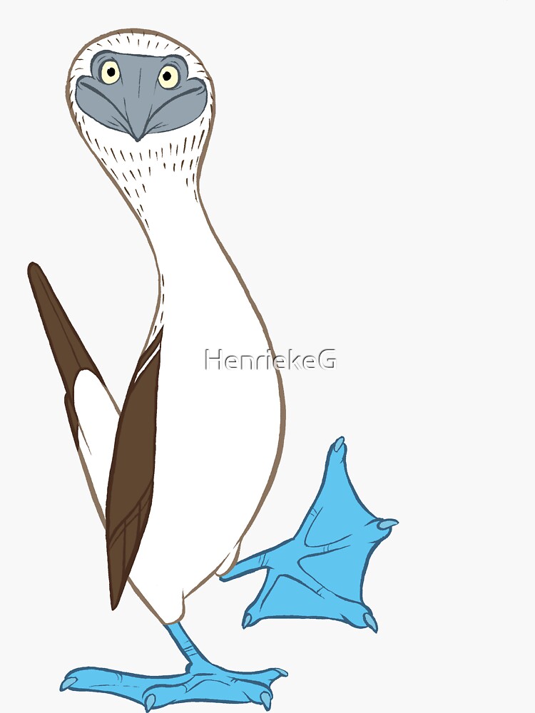 Blue-footed booby by HenriekeG