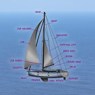 Sailboat Parts | Poster