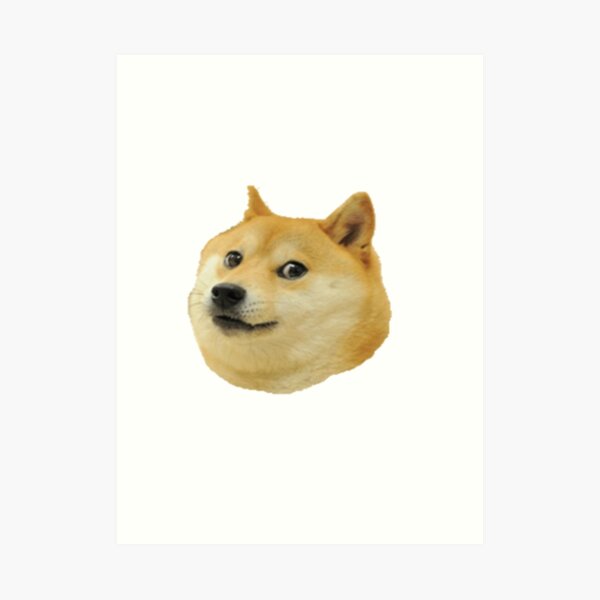 Tutorial For Become An Epic Doge Roblox