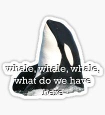 Whale Whale Whale... Sticker