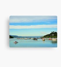 Reina en el lago tranquilidad....................suma Canvas Print