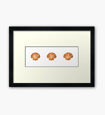 Drei Muscheln Gerahmtes Wandbild