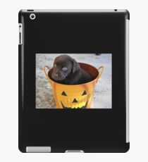 Cutest Chocolate Lab Puppy iPad Case/Skin