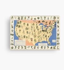 1932 Medicinal Plant Map of the United States. Amazing map of ‘Herbal Cures’ Canvas Print