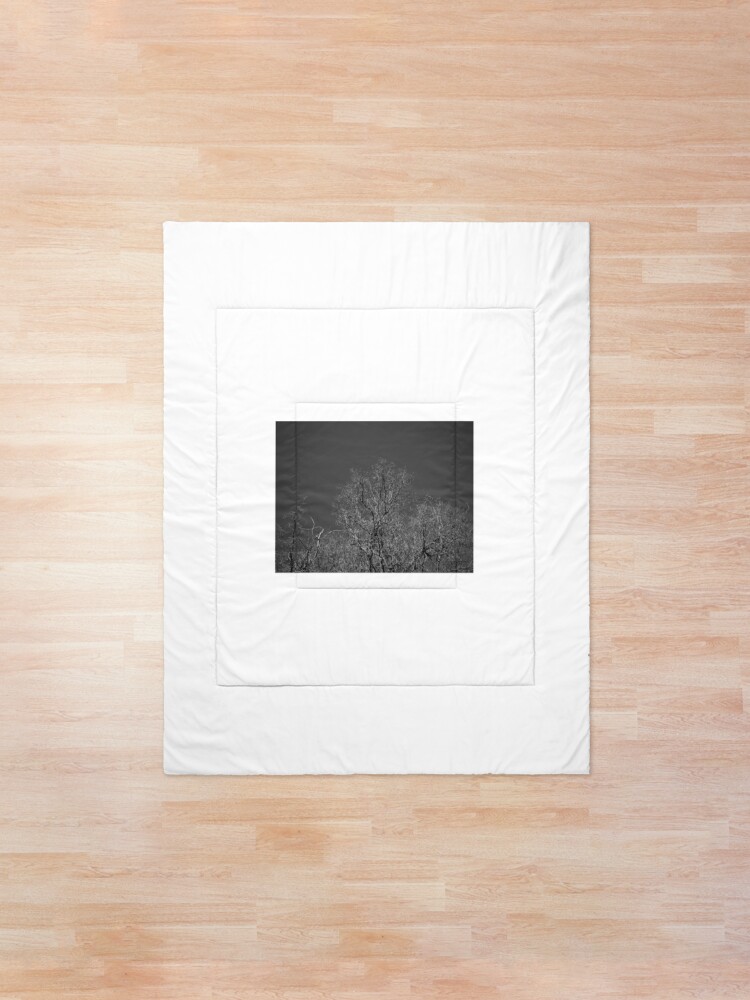 Alternate view of Trees and Sky Comforter