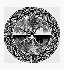 Tree of Life Photographic Print