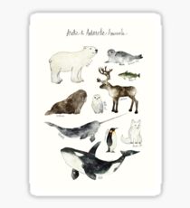 Arctic & Antarctic Animals Sticker