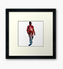 Akiyama Framed Print