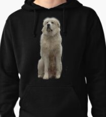 The Great Pyrenees mountain dog Pullover Hoodie