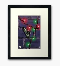 Tailed Jay Framed Print