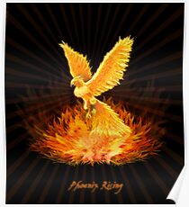 Phoenix Rising Poster