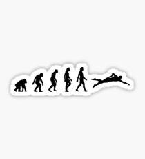 The evolution of swimming Sticker