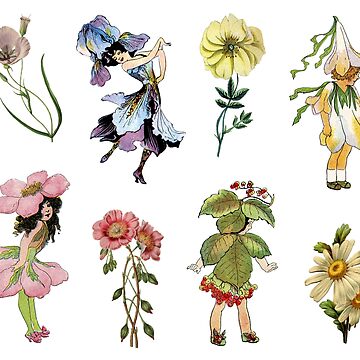 Flower Fairy Sticker Pack - Vintage Fairies Set Sticker for Sale