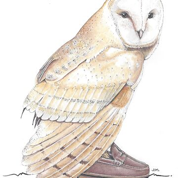 Artwork thumbnail, Barn owl in penny loafers by JimsBirds