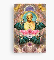 softest romantic rose queen Canvas Print
