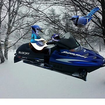 BLUE JAY ON ON SKI-DOO-- PLAYS GUITAR SERENADES MATE --VARIOUS FUN