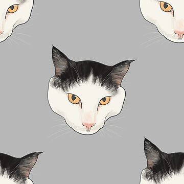 harlequin pattern cat - Google Search