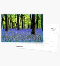 Haze Of Blue - Bluebell Wood Dorset Postcards