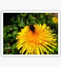 Busy Busy Bumble Bee Sticker