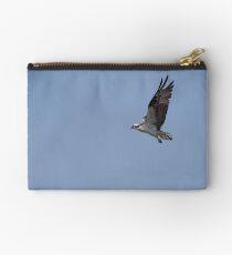 Osprey in flight Studio Pouch