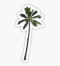 Palm Tree - Cuba Sticker