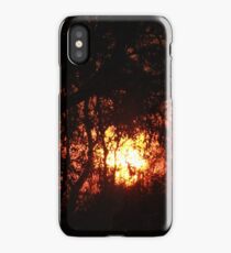 Fiery Sunset Through The Eucalypts iPhone Case