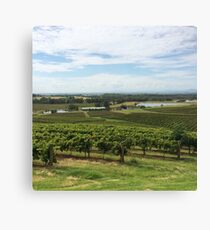 Winery Canvas Print