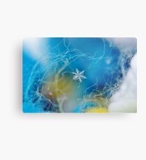 Feather Light Metal Print