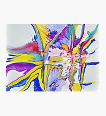 Morphic Field Photographic Print
