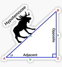 Hypotemoose, Math Humor. Sticker