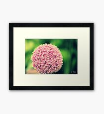 Flower Framed Print