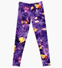 Spiny Joy Leggings