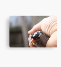 Precious Metal Print