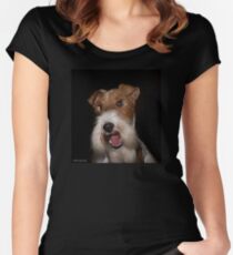 YOU, Sir, Have Double Standards! Women's Fitted Scoop T-Shirt