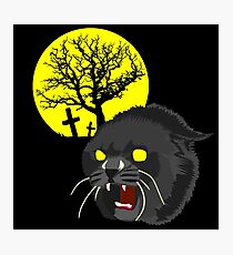 Pet Sematary - Church - Stephen King Photographic Print