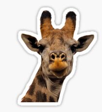 Girafe Sticker