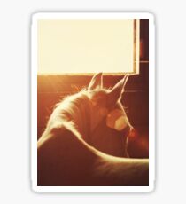 Flare Sticker