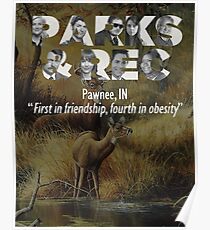 Parks and Recreation Poster