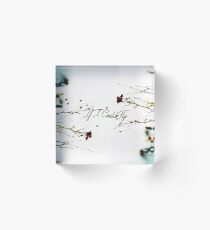 If I Could Fly Acrylic Block