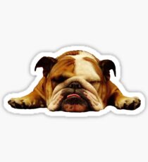 English Bulldog - Lazy Beast Sticker
