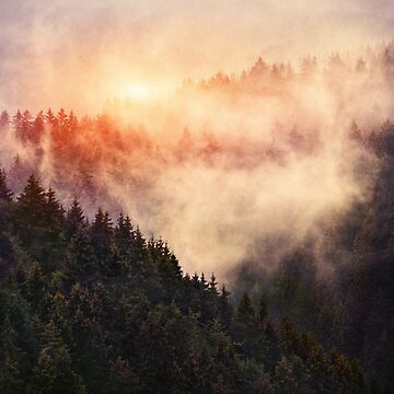 Artwork thumbnail, In My Other World // Sunrise In A Romantic Misty Foggy Autumn Fairytale Wilderness Forest With Trees Covered In Fog And Sunlight by tekay