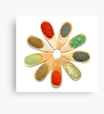 wooden spice spoons Canvas Print