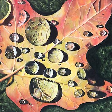 Artwork thumbnail, Fall Leaf with Water Droplets by char55116