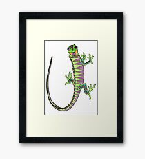 Crazy climbing lizard Framed Print