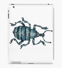 Blue Insect iPad Case/Skin