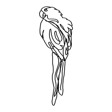 Parrot drawing